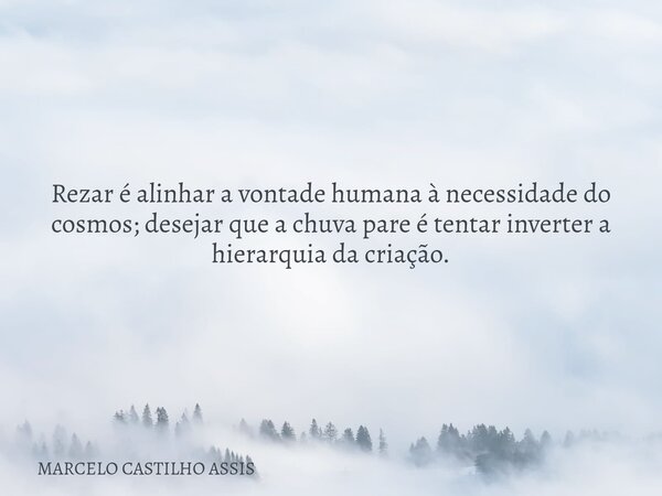 Rezar é alinhar a vontade humana à necessidade do cosmos; desejar que a chuva pare é tentar inverter a hierarquia da criação.... Frase de MARCELO CASTILHO ASSIS.