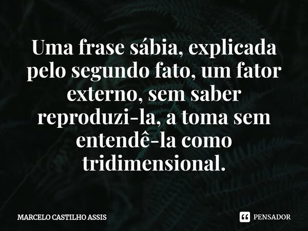 ⁠⁠Uma frase sábia, explicada pelo segundo fato, um fator externo, sem saber reproduzi-la, a toma sem entendê-la como tridimensional.... Frase de MARCELO CASTILHO ASSIS.