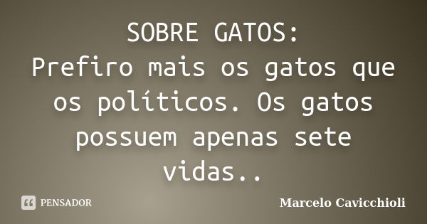 SOBRE GATOS: Prefiro mais os gatos que os políticos. Os gatos possuem apenas sete vidas..... Frase de Marcelo Cavicchioli.