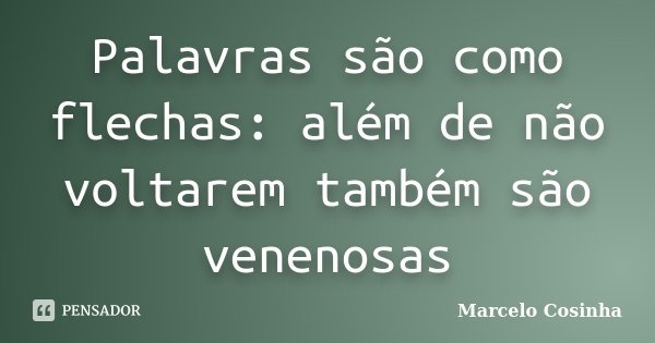 Palavras são como flechas: além de não voltarem também são venenosas... Frase de Marcelo Cosinha.