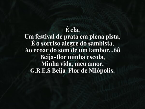 É ela, Um festival de prata em plena pista, É o sorriso alegre do sambista, Ao ecoar do som de um tambor...ôô Beija-flor minha escola, Minha vida, meu amor. G.R... Frase de Marcelo Costa.