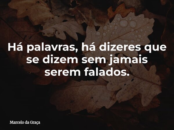 Há palavras, há dizeres que se dizem sem jamais serem falados.... Frase de Marcelo da Graça.