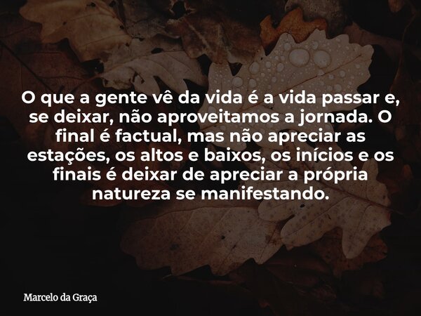 O que a gente vê da vida é a vida passar e, se deixar, não aproveitamos a jornada. O final é factual, mas não apreciar as estações, os altos e baixos, os início... Frase de Marcelo da Graça.