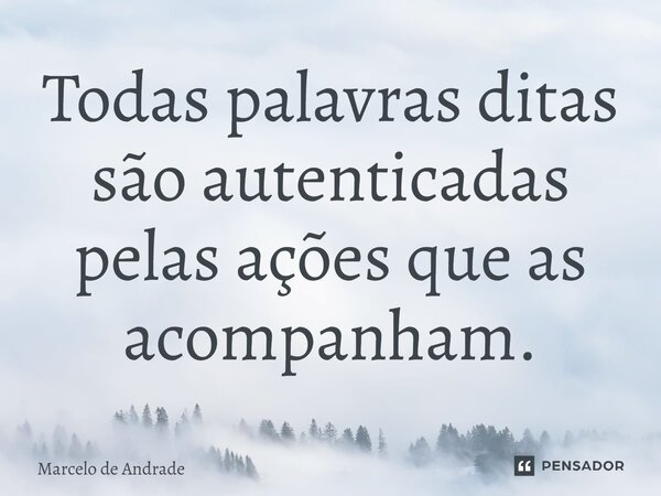 ⁠Todas palavras ditas são autenticadas pelas ações que as acompanham.... Frase de marcelo de andrade.