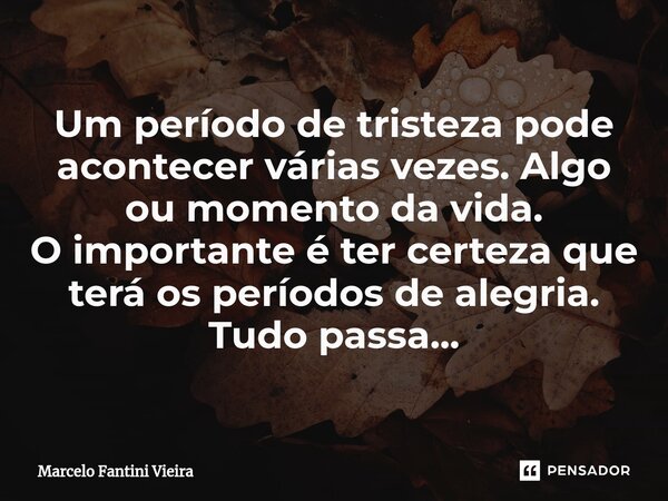 ⁠Um período de tristeza pode acontecer várias vezes. Algo ou momento da vida. O importante é ter certeza que terá os períodos de alegria. Tudo passa...... Frase de Marcelo Fantini Vieira.