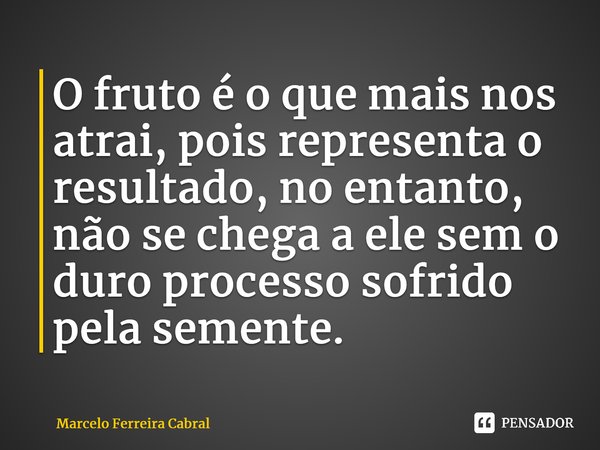 ⁠O fruto é o que mais nos atrai, pois representa o resultado, no entanto, não se chega a ele sem o duro processo sofrido pela semente.... Frase de Marcelo Ferreira Cabral.