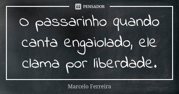 O passarinho quando canta engaiolado, ele clama por liberdade.... Frase de Marcelo Ferreira.