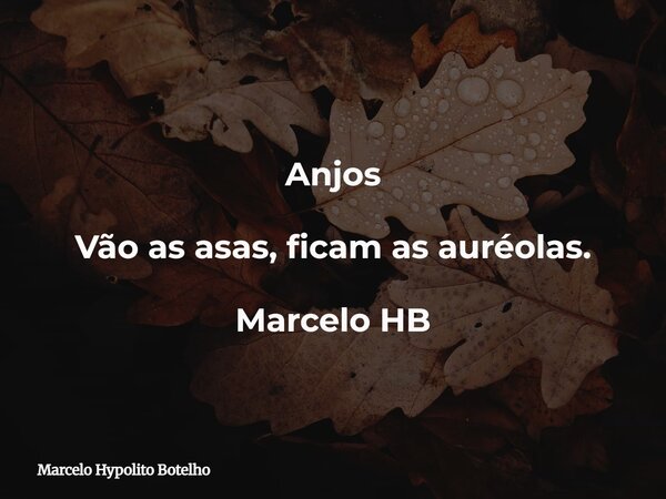 Anjos Vão as asas, ficam as auréolas. Marcelo HB... Frase de Marcelo Hypolito Botelho.