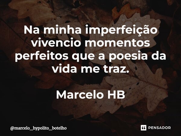 ⁠Na minha imperfeição vivencio momentos perfeitos que a poesia da vida me traz. Marcelo HB... Frase de marcelo_hypolito_botelho.