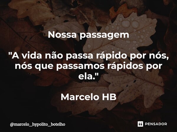 ⁠Nossa passagem "A vida não passa rápido por nós, nós que passamos rápidos por ela." Marcelo HB... Frase de marcelo_hypolito_botelho.