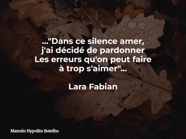 ..."Dans ce silence amer, j'ai décidé de pardonner Les erreurs qu'on peut faire à trop s'aimer"... Lara Fabian... Frase de Marcelo Hypolito Botelho.
