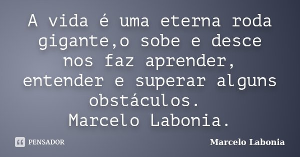 A vida é uma eterna roda gigante,o sobe e desce nos faz aprender, entender e superar alguns obstáculos. Marcelo Labonia.... Frase de Marcelo Labonia.