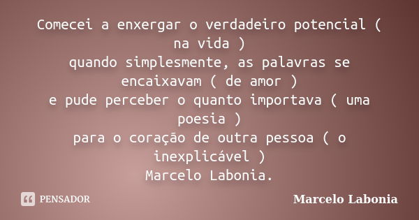 Comecei a enxergar o verdadeiro potencial ( na vida ) quando simplesmente, as palavras se encaixavam ( de amor ) e pude perceber o quanto importava ( uma poesia... Frase de Marcelo Labonia.