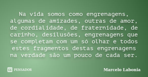 Na vida somos como engrenagens, algumas de amizades, outras de amor, de cordialidade, de fraternidade, de carinho, desilusões, engrenagens que se completam com ... Frase de Marcelo Labonia.