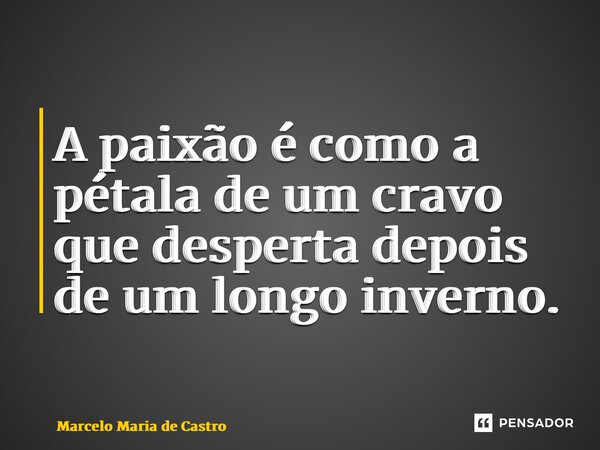 ⁠⁠A paixão é como a pétala de um cravo que desperta depois de um longo inverno.... Frase de Marcelo Maria de Castro.