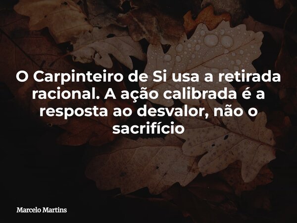 O Carpinteiro de Si usa a retirada racional. A ação calibrada é a resposta ao desvalor, não o sacrifício... Frase de Marcelo Martins.