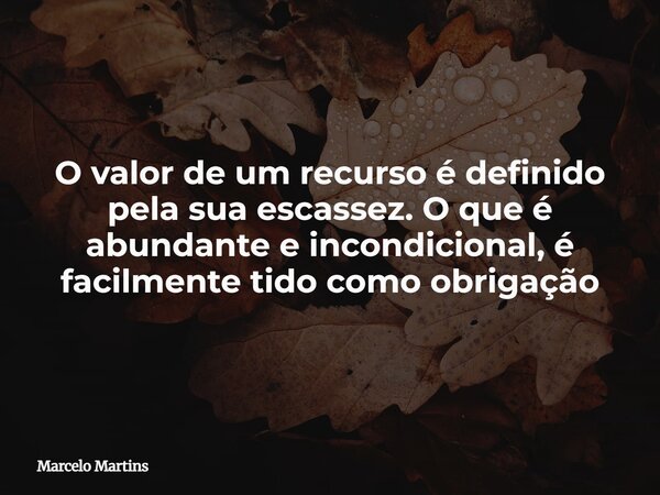 O valor de um recurso é definido pela sua escassez. O que é abundante e incondicional, é facilmente tido como obrigação... Frase de Marcelo Martins.