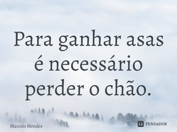 ⁠Para ganhar asas é necessário perder o chão.... Frase de Marcelo Mendes.