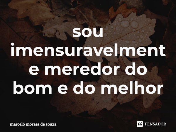 ⁠sou imensuravelmente meredor do bom e do melhor... Frase de marcelo moraes de souza.
