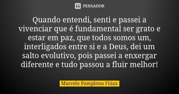 Quando entendi, senti e passei a vivenciar que é fundamental ser grato e estar em paz, que todos somos um, interligados entre si e a Deus, dei um salto evolutiv... Frase de Marcelo Pamplona Fiúza.