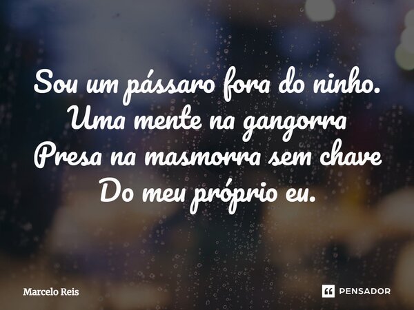 ⁠Sou um pássaro fora do ninho. Uma mente na gangorra Presa na masmorra sem chave Do meu próprio eu.... Frase de Marcelo Reis.