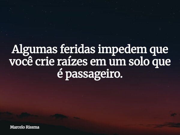 Algumas feridas impedem que você crie raízes em um solo que é passageiro.... Frase de Marcelo Rissma.