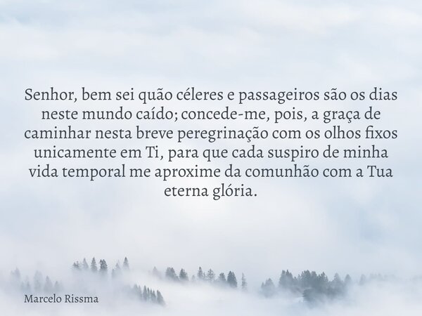 Senhor, bem sei quão céleres e passageiros são os dias neste mundo caído; concede-me, pois, a graça de caminhar nesta breve peregrinação com os olhos fixos unic... Frase de Marcelo Rissma.