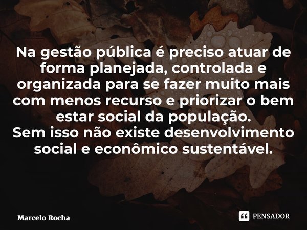 Na gestão pública é preciso atuar de forma planejada, controlada e organizada para se fazer muito mais com menos recurso e priorizar o bem estar social da popul... Frase de Marcelo Rocha.
