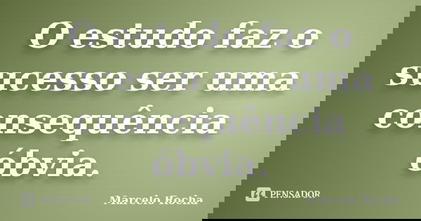 O estudo faz o sucesso ser uma consequência óbvia.... Frase de Marcelo Rocha.