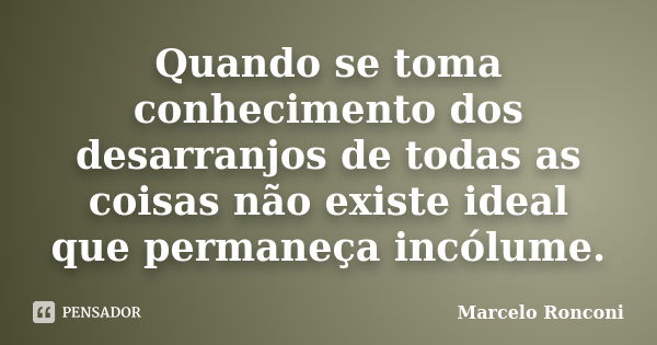 Quando se toma conhecimento dos desarranjos de todas as coisas não existe ideal que permaneça incólume.... Frase de Marcelo Ronconi.