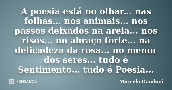 A poesia está no olhar... nas folhas... nos animais... nos passos deixados na areia... nos risos... no abraço forte... na delicadeza da rosa... no menor dos ser... Frase de Marcelo Rondoni.