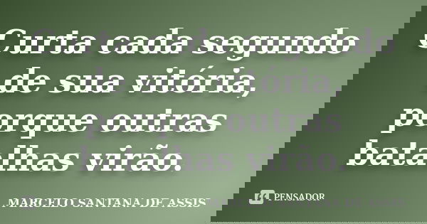 Curta cada segundo de sua vitória, porque outras batalhas virão.... Frase de MARCELO SANTANA DE ASSIS.