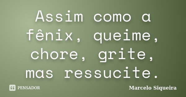 Assim como a fênix, queime, chore, grite, mas ressucite.... Frase de Marcelo Siqueira.