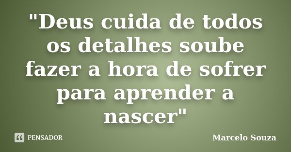 "Deus cuida de todos os detalhes soube fazer a hora de sofrer para aprender a nascer"... Frase de Marcelo Souza.