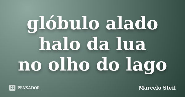 glóbulo alado
halo da lua
no olho do lago... Frase de Marcelo Steil.