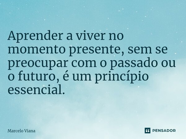 ⁠Aprender a viver no momento presente, sem se preocupar com o passado ou o futuro, é um princípio essencial.... Frase de Marcelo Viana.