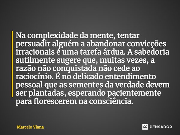 ⁠Na complexidade da mente, tentar persuadir alguém a abandonar convicções irracionais é uma tarefa árdua. A sabedoria sutilmente sugere que, muitas vezes, a raz... Frase de Marcelo Viana.