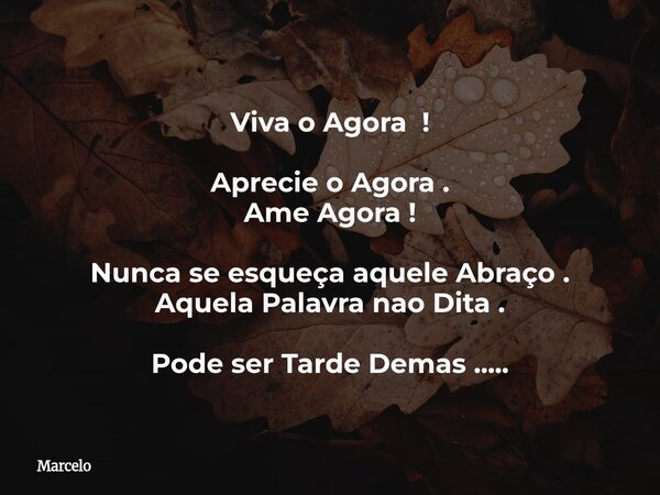 Viva o Agora ! Aprecie o Agora . Ame Agora ! Nunca se esqueça aquele Abraço . Aquela Palavra nao Dita . Pode ser Tarde Demas ........ Frase de Marcelo.