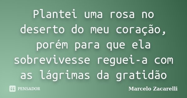 Plantei uma rosa no deserto do meu coração, porém para que ela sobrevivesse reguei-a com as lágrimas da gratidão... Frase de Marcelo Zacarelli.