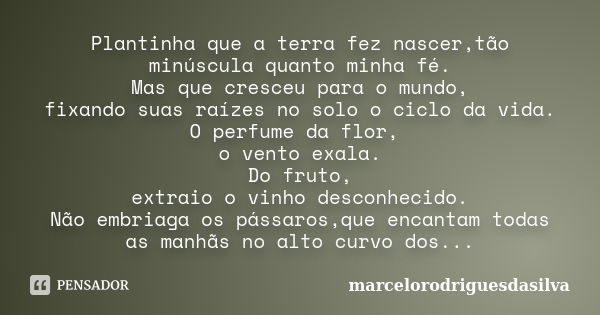 Plantinha que a terra fez nascer,tão minúscula quanto minha fé. Mas que cresceu para o mundo, fixando suas raízes no solo o ciclo da vida. O perfume da flor, o ... Frase de marcelorodriguesdasilva.