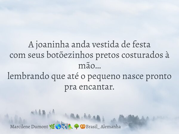 A joaninha anda vestida de festa com seus botõezinhos pretos costurados à mão… lembrando que até o pequeno nasce pronto pra encantar.... Frase de Marcilene Dumont Brasil_ Alemanha.