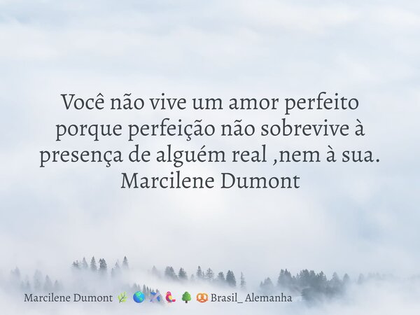 Você não vive um amor perfeito porque perfeição não sobrevive à presença de alguém real ,nem à sua.⁠ Marcilene Dumont... Frase de Marcilene Dumont Brasil_ Alemanha.