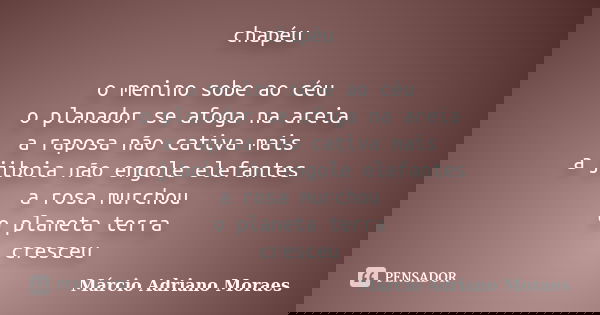 chapéu o menino sobe ao céu o planador se afoga na areia a raposa não cativa mais a jiboia não engole elefantes a rosa murchou o planeta terra cresceu... Frase de Márcio Adriano Moraes.