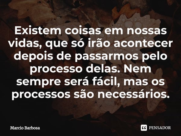 Existem coisas em nossas vidas, que só irão acontecer depois de passarmos pelo processo delas. Nem sempre será fácil, mas os processos são necessários.... Frase de Marcio Barbosa.