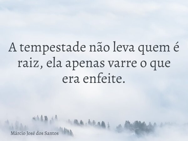 A tempestade não leva quem é raiz, ela apenas varre o que era enfeite.⁠... Frase de Márcio José dos Santos.