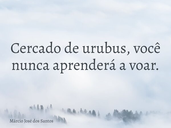 Cercado de urubus, você nunca aprenderá a voar.⁠... Frase de Márcio José dos Santos.