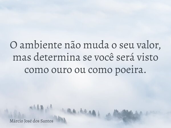 O ambiente não muda o seu valor, mas determina se você será visto como ouro ou como poeira.... Frase de Márcio José dos Santos.