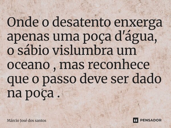 Onde o desatento enxerga apenas uma poça d'água, o sábio vislumbra um oceano, mas reconhece que o passo deve ser dado na poça.... Frase de Márcio José dos santos.