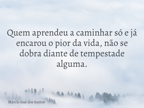 Quem aprendeu a caminhar só e já encarou o pior da vida, não se dobra diante de tempestade alguma.... Frase de Márcio José dos Santos.