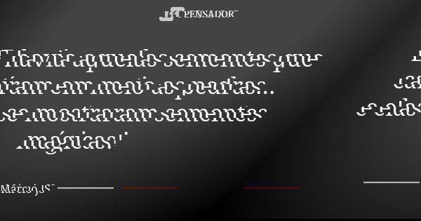E havia aquelas sementes que caíram em meio as pedras... e elas se mostraram sementes mágicas!... Frase de Márcio JS.